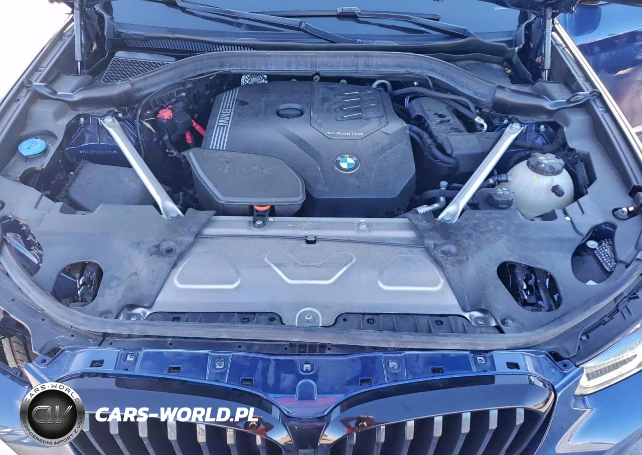2024 BMW X3 Sdrive30I VIN:5UX43DP03R9V70314 - 12