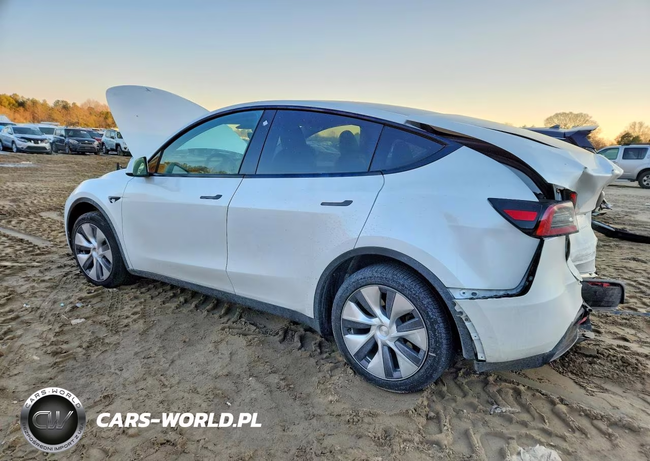 2023 Tesla Model Y VIN:7SAYGDEEXPA128638 - 2