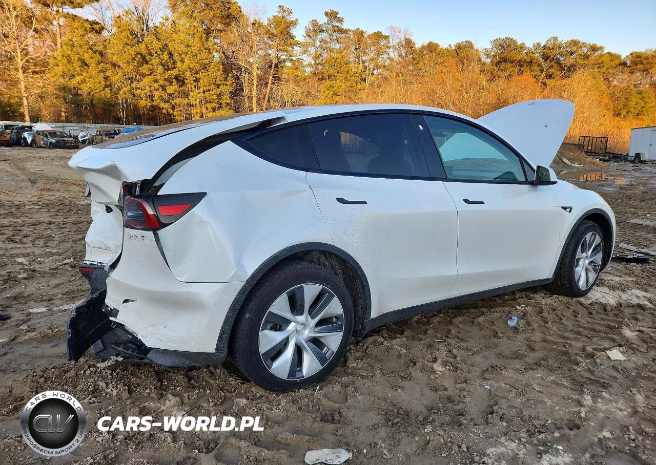 2023 Tesla Model Y VIN:7SAYGDEEXPA128638 - 3