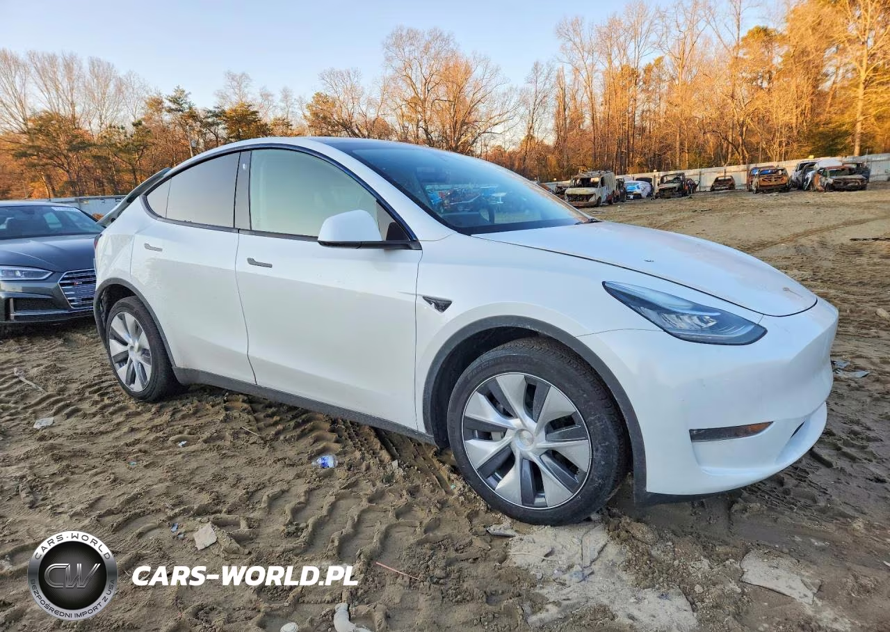 2023 Tesla Model Y VIN:7SAYGDEEXPA128638 - 4