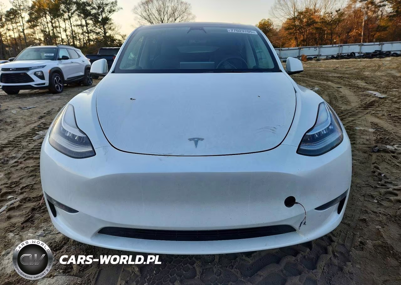 2023 Tesla Model Y VIN:7SAYGDEEXPA128638 - 5