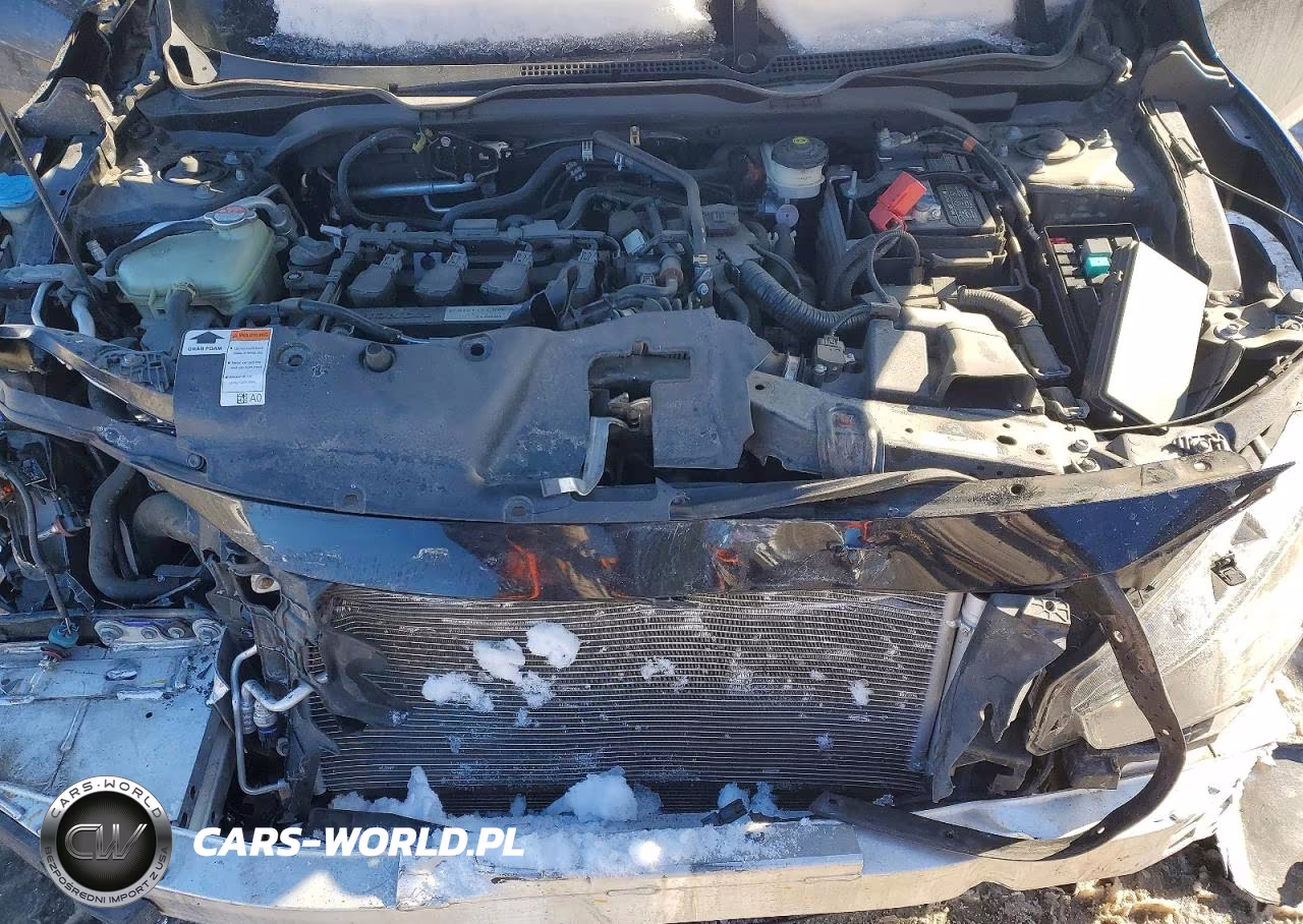 2019 Honda Civic Ex VIN:19XFC1F31KE207743 - 11