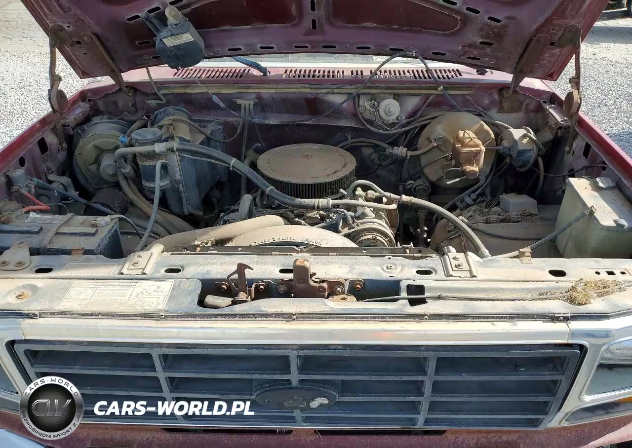 1982 Ford Bronco U100 VIN:1FMEU15F5CLA01592 - 11