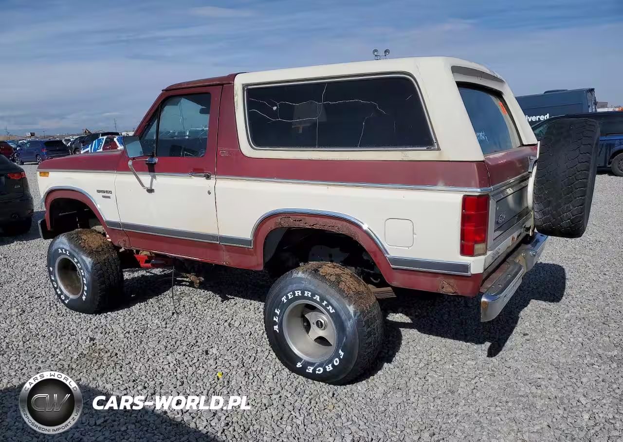 1982 Ford Bronco U100 VIN:1FMEU15F5CLA01592 - 2