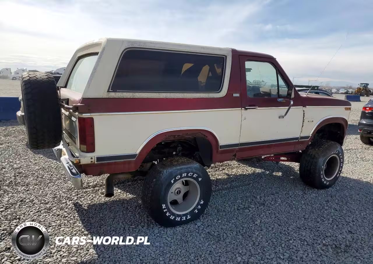 1982 Ford Bronco U100 VIN:1FMEU15F5CLA01592 - 3