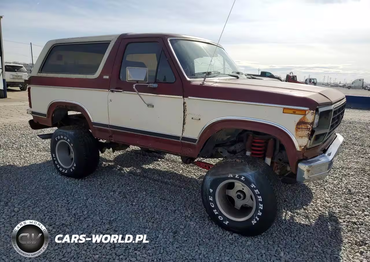 1982 Ford Bronco U100 VIN:1FMEU15F5CLA01592 - 4