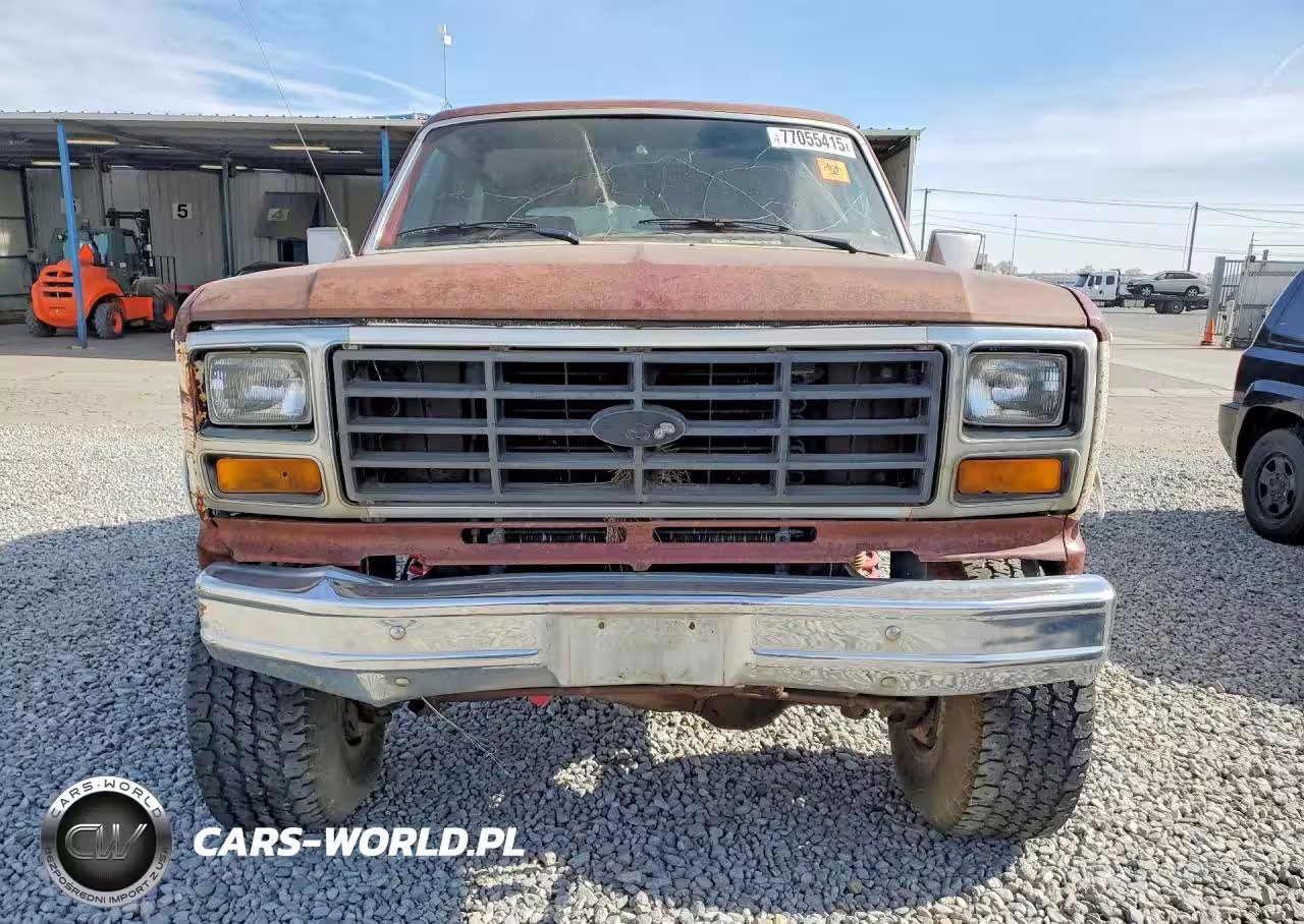 1982 Ford Bronco U100 VIN:1FMEU15F5CLA01592 - 5