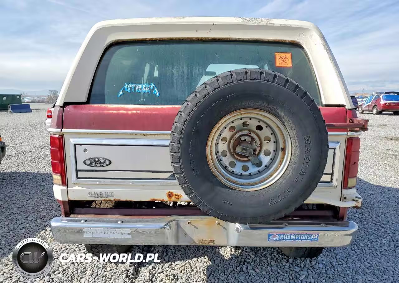 1982 Ford Bronco U100 VIN:1FMEU15F5CLA01592 - 6