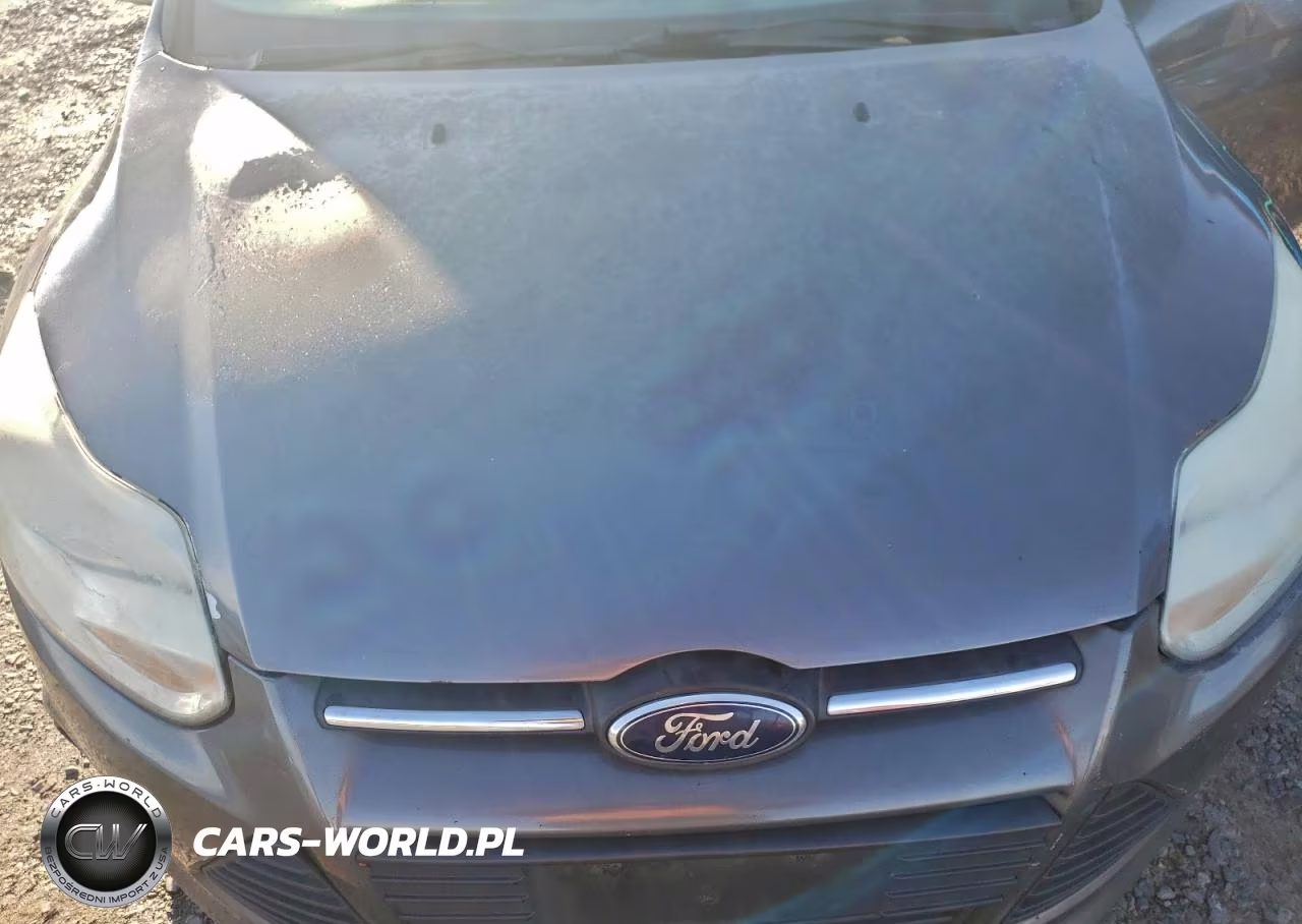 2014 Ford Focus Se VIN:1FADP3K21EL457621 - 11