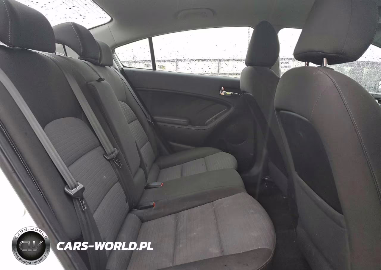 2015 Kia Forte Lx VIN:KNAFX4A64F5347131 - 10