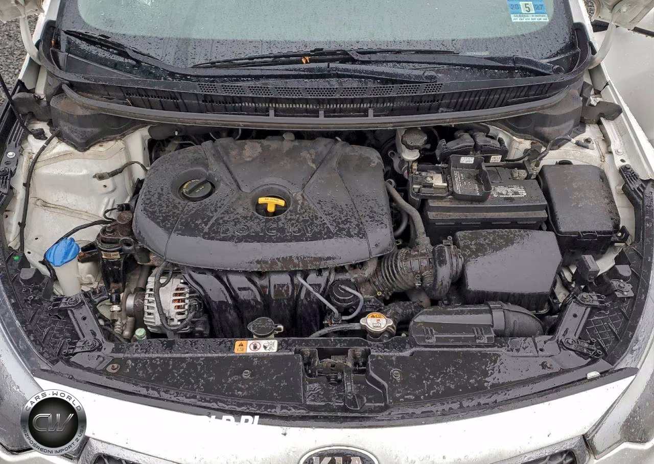 2015 Kia Forte Lx VIN:KNAFX4A64F5347131 - 11