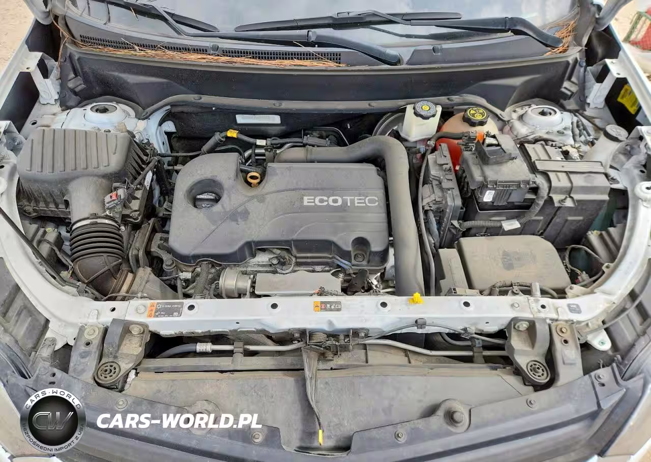 2019 Chevrolet Equinox Lt VIN:2GNAXKEV2K6116415 - 11