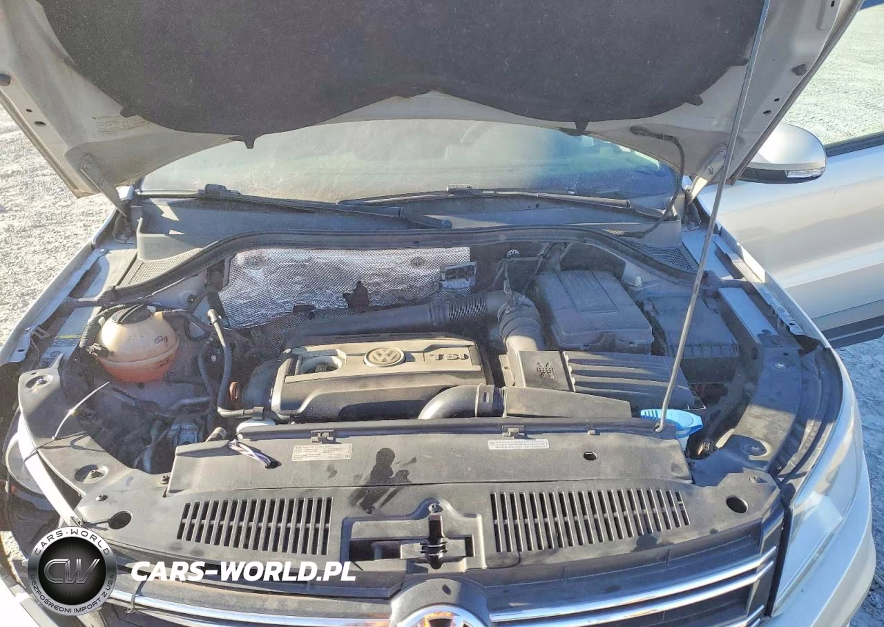 2013 Volkswagen Tiguan S VIN:WVGBV3AX5DW577175 - 12