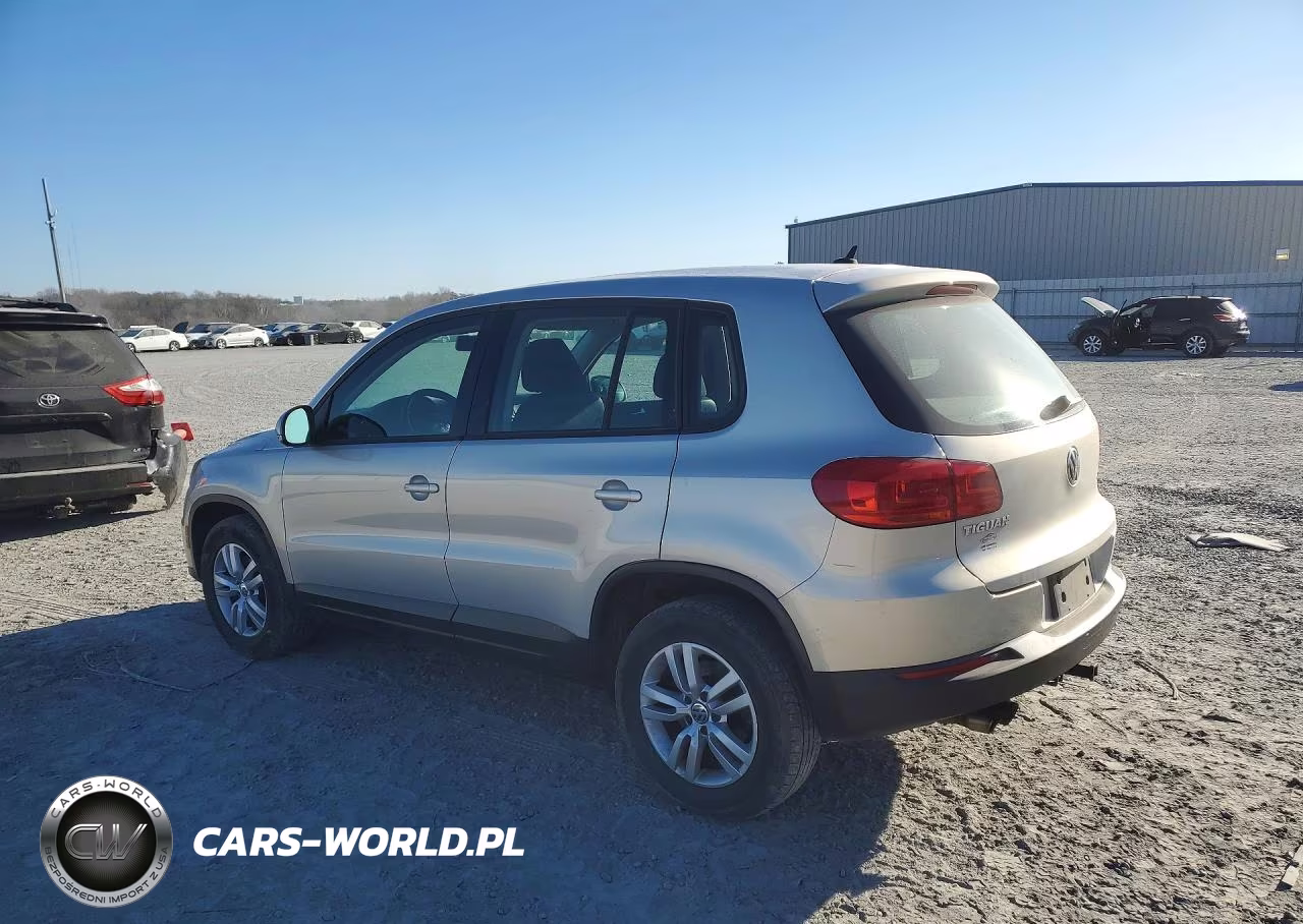2013 Volkswagen Tiguan S VIN:WVGBV3AX5DW577175 - 2