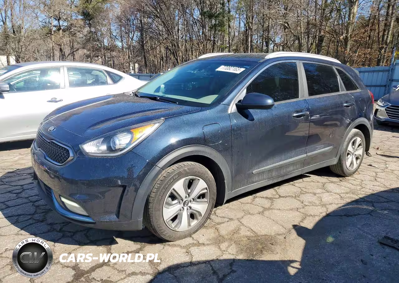 2019 Kia Niro