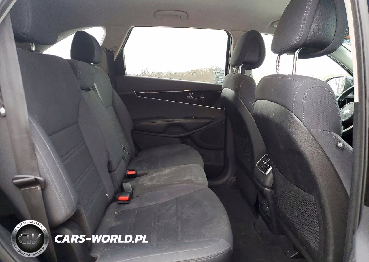 2016 Kia Sorento Lx VIN:5XYPG4A50GG084868 - 10