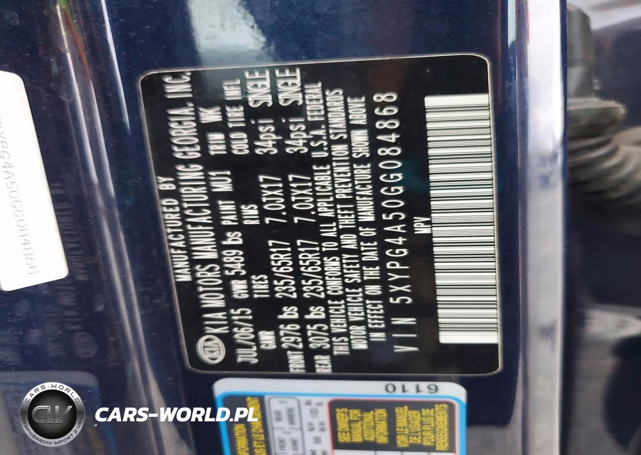 2016 Kia Sorento Lx VIN:5XYPG4A50GG084868 - 12