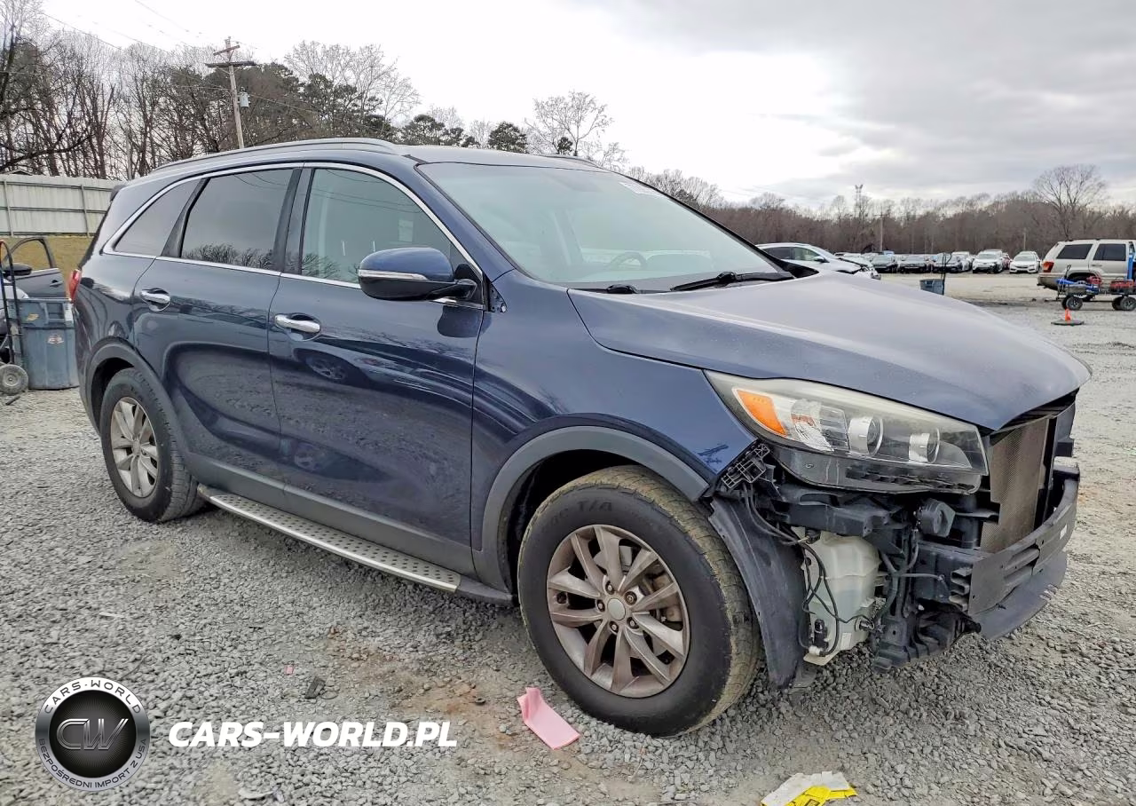 2016 Kia Sorento Lx VIN:5XYPG4A50GG084868 - 4