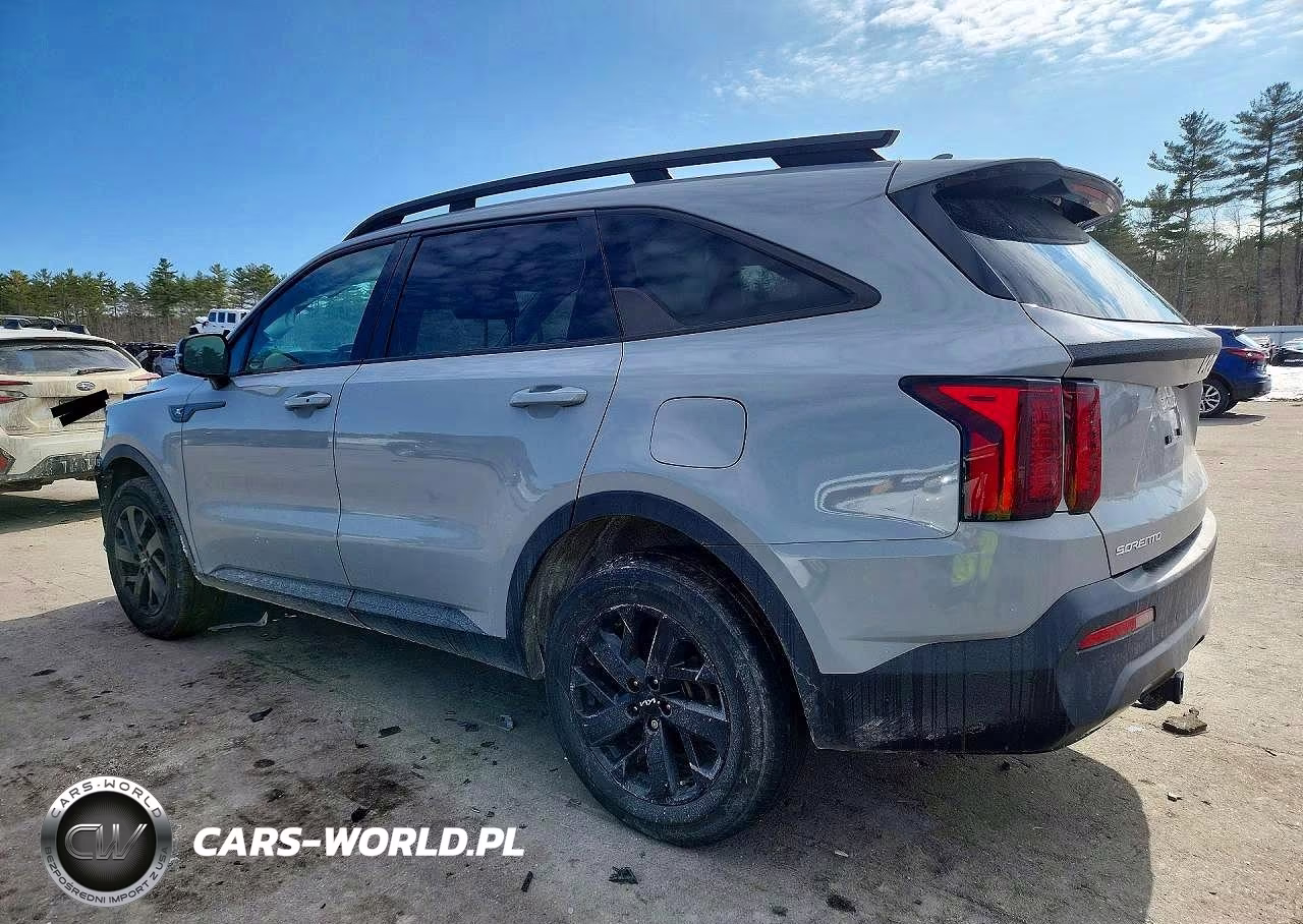 2023 Kia Sorento VIN:5XYRLDLC9PG164203 - 2
