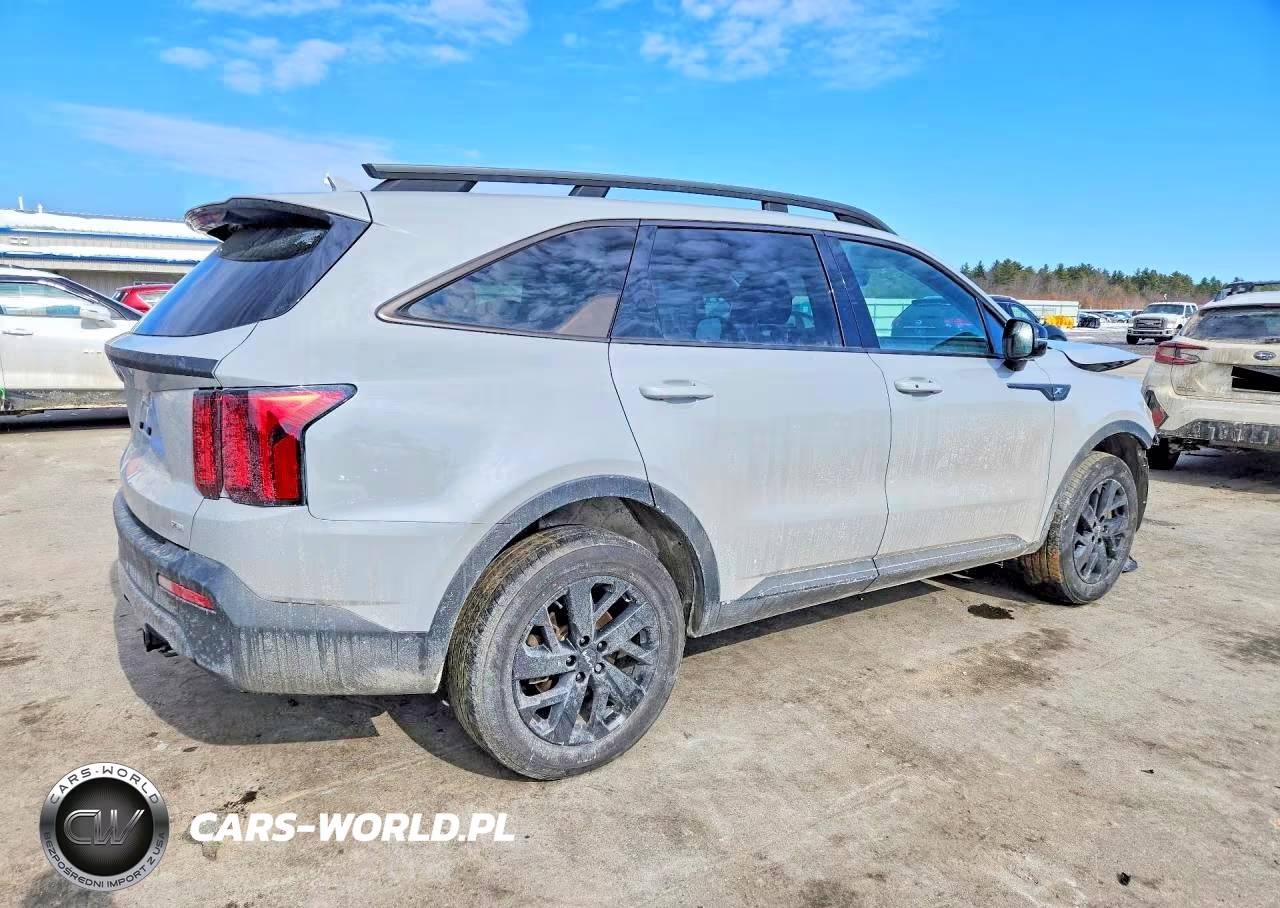 2023 Kia Sorento VIN:5XYRLDLC9PG164203 - 3