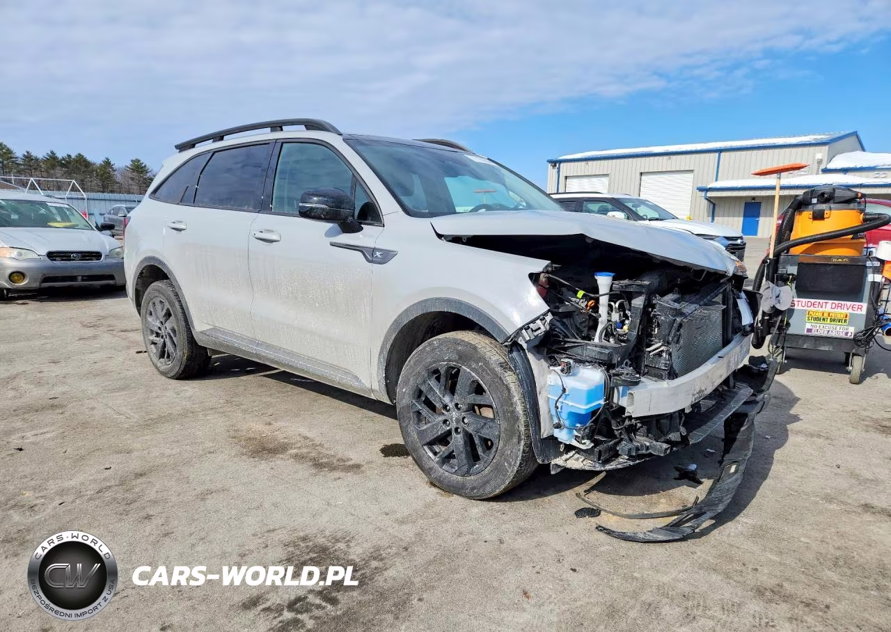 2023 Kia Sorento VIN:5XYRLDLC9PG164203 - 4