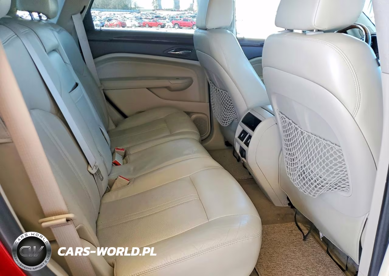 2010 Cadillac Srx Luxury Collection VIN:3GYFNAEY5AS540643 - 10