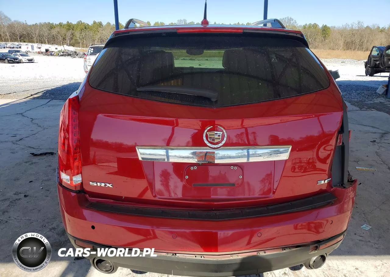 2010 Cadillac Srx Luxury Collection VIN:3GYFNAEY5AS540643 - 6