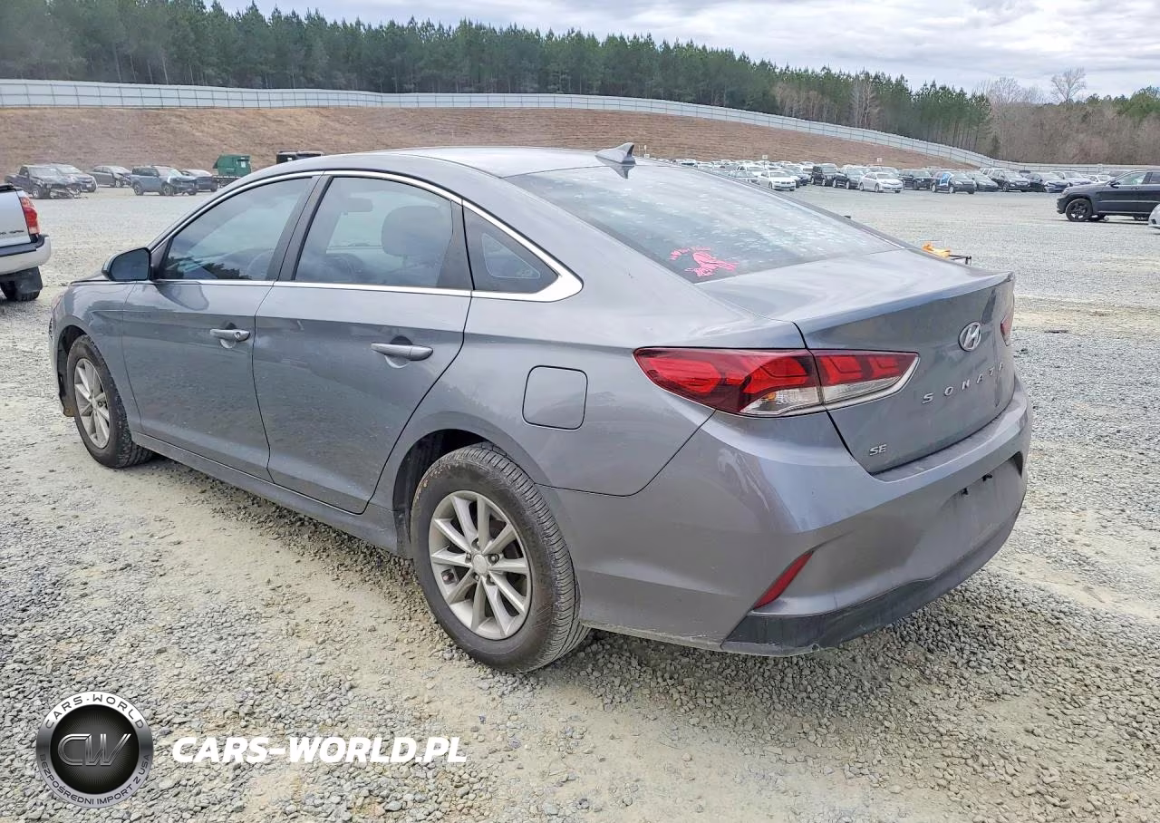 2019 Hyundai Sonata Se VIN:5NPE24AF3KH760374 - 2