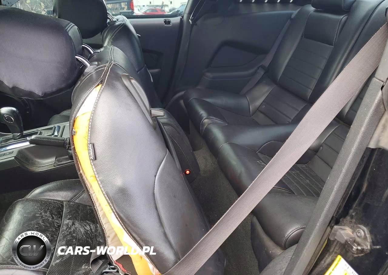 2014 Ford Mustang VIN:1ZVBP8AM6E5289820 - 10