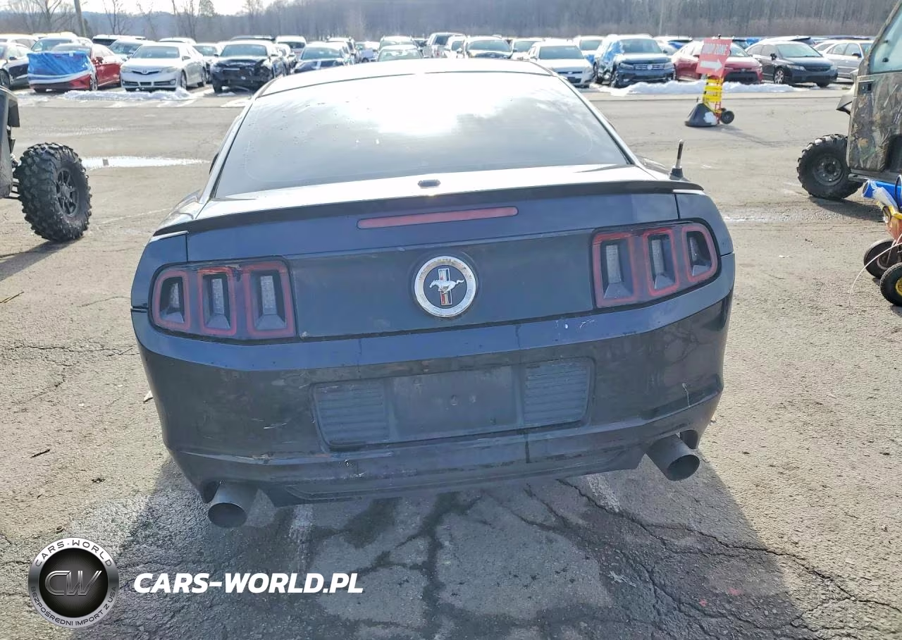 2014 Ford Mustang VIN:1ZVBP8AM6E5289820 - 6