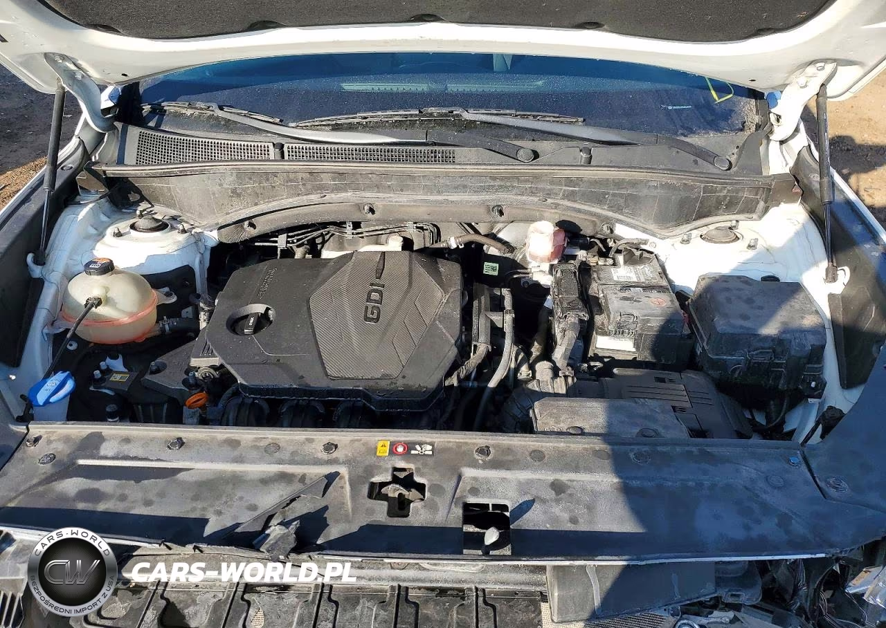 2021 Hyundai Santa Fe Se VIN:5NMS1DAJ9MH349779 - 11