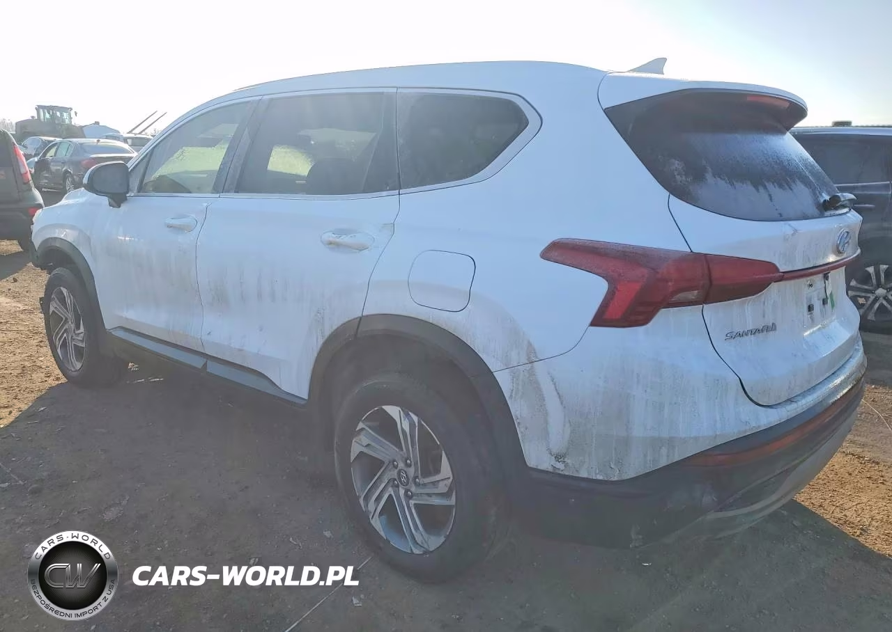 2021 Hyundai Santa Fe Se VIN:5NMS1DAJ9MH349779 - 2