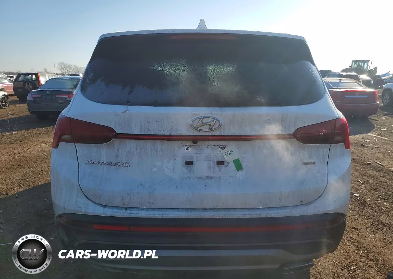 2021 Hyundai Santa Fe Se VIN:5NMS1DAJ9MH349779 - 6