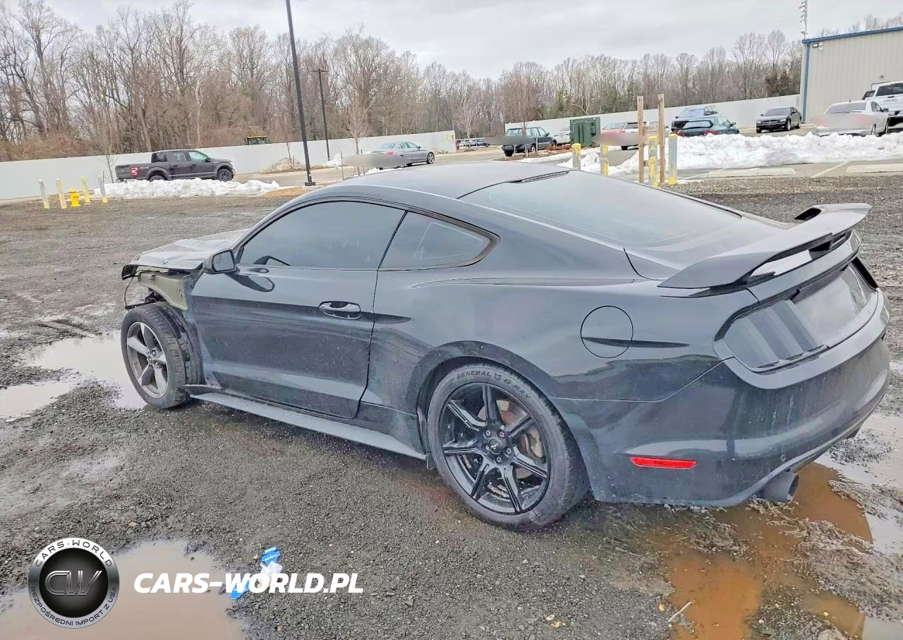 2016 Ford Mustang VIN:1FA6P8AM1G5259217 - 2