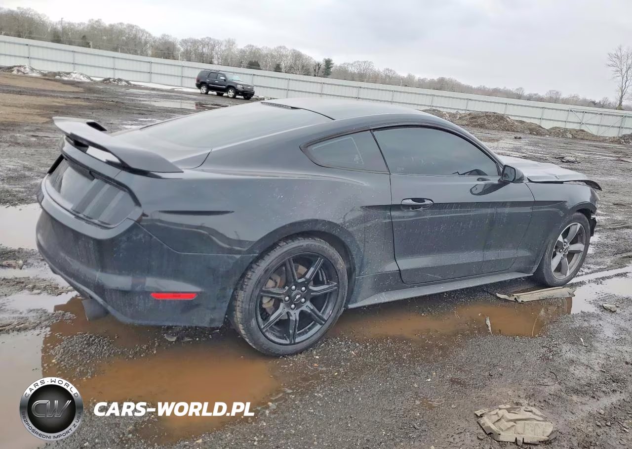 2016 Ford Mustang VIN:1FA6P8AM1G5259217 - 3