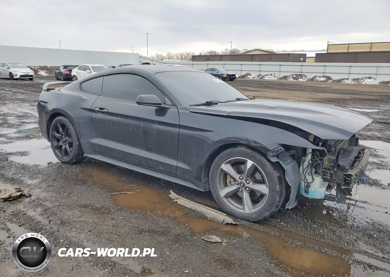 2016 Ford Mustang VIN:1FA6P8AM1G5259217 - 4