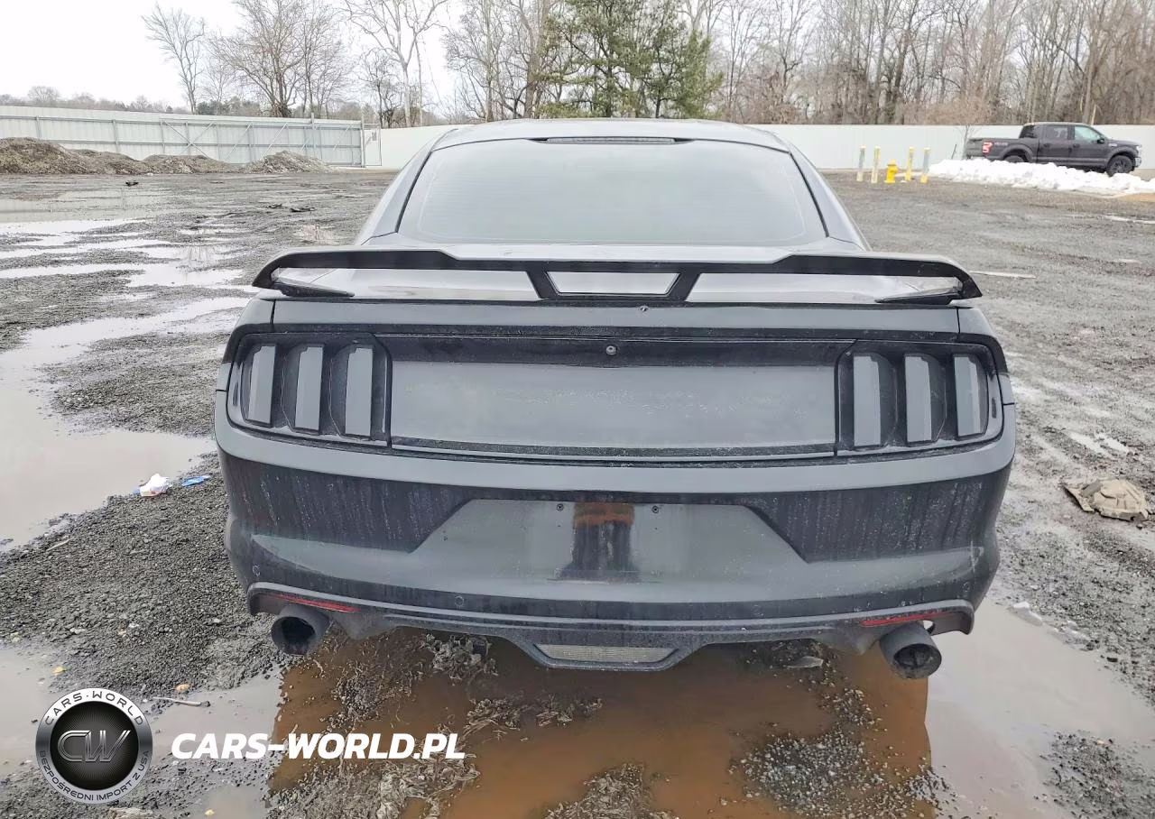 2016 Ford Mustang VIN:1FA6P8AM1G5259217 - 6