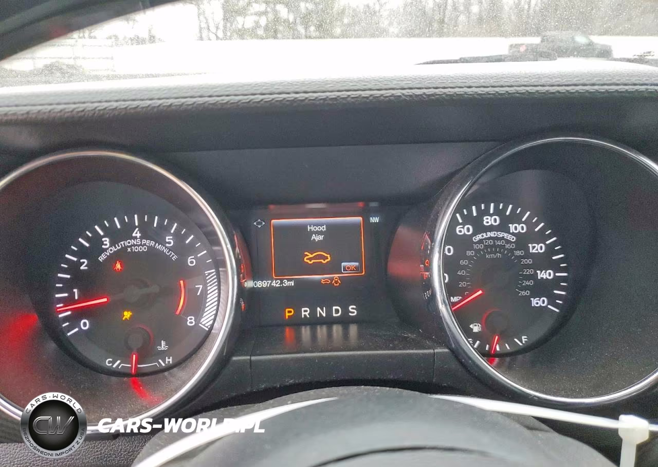 2016 Ford Mustang VIN:1FA6P8AM1G5259217 - 9