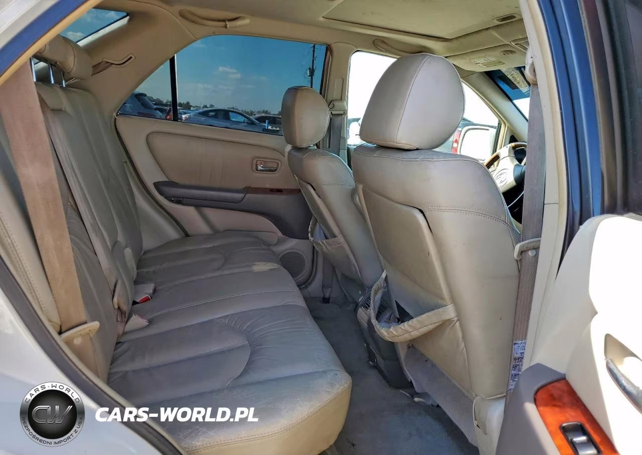 2002 Lexus Rx 300 VIN:JTJGF10U620124456 - 10