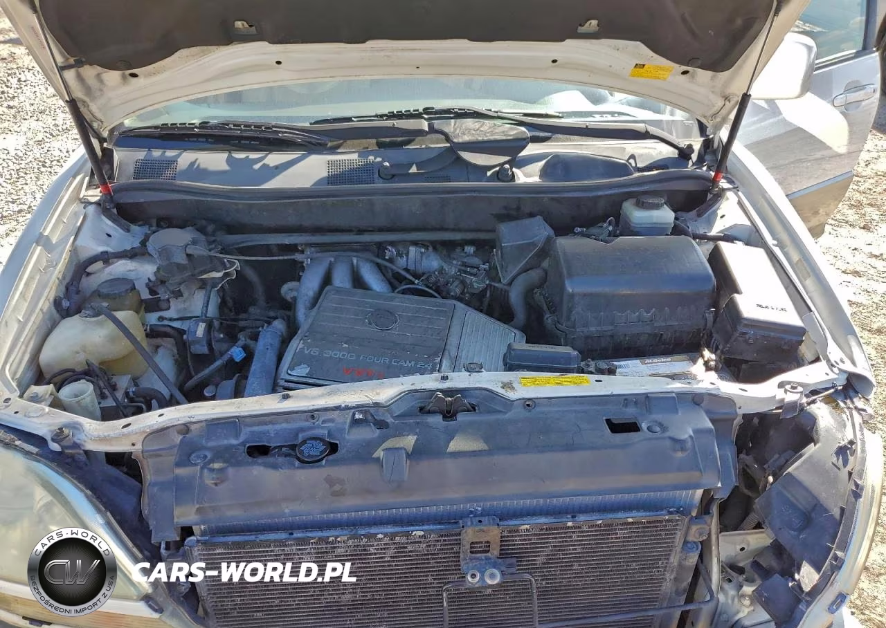 2002 Lexus Rx 300 VIN:JTJGF10U620124456 - 11