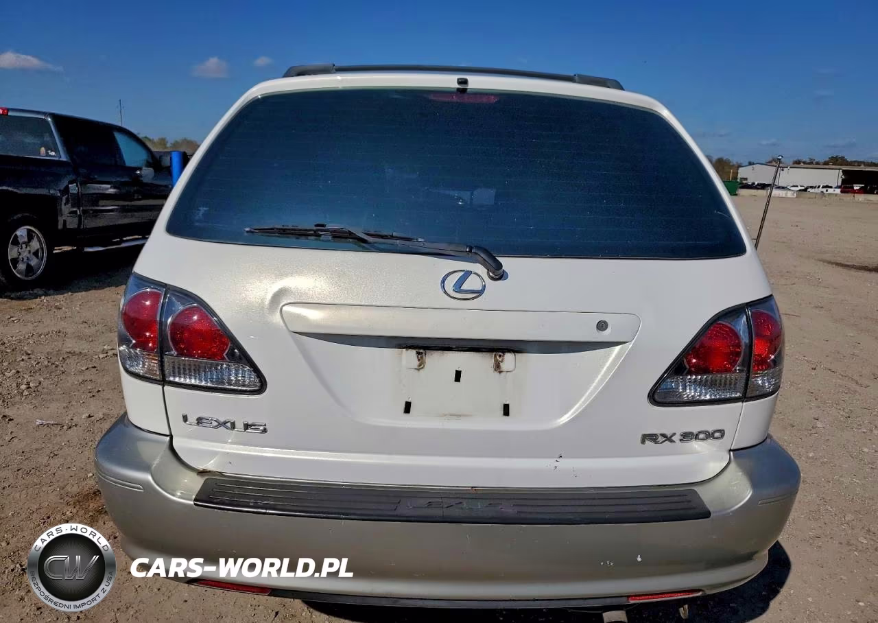 2002 Lexus Rx 300 VIN:JTJGF10U620124456 - 6