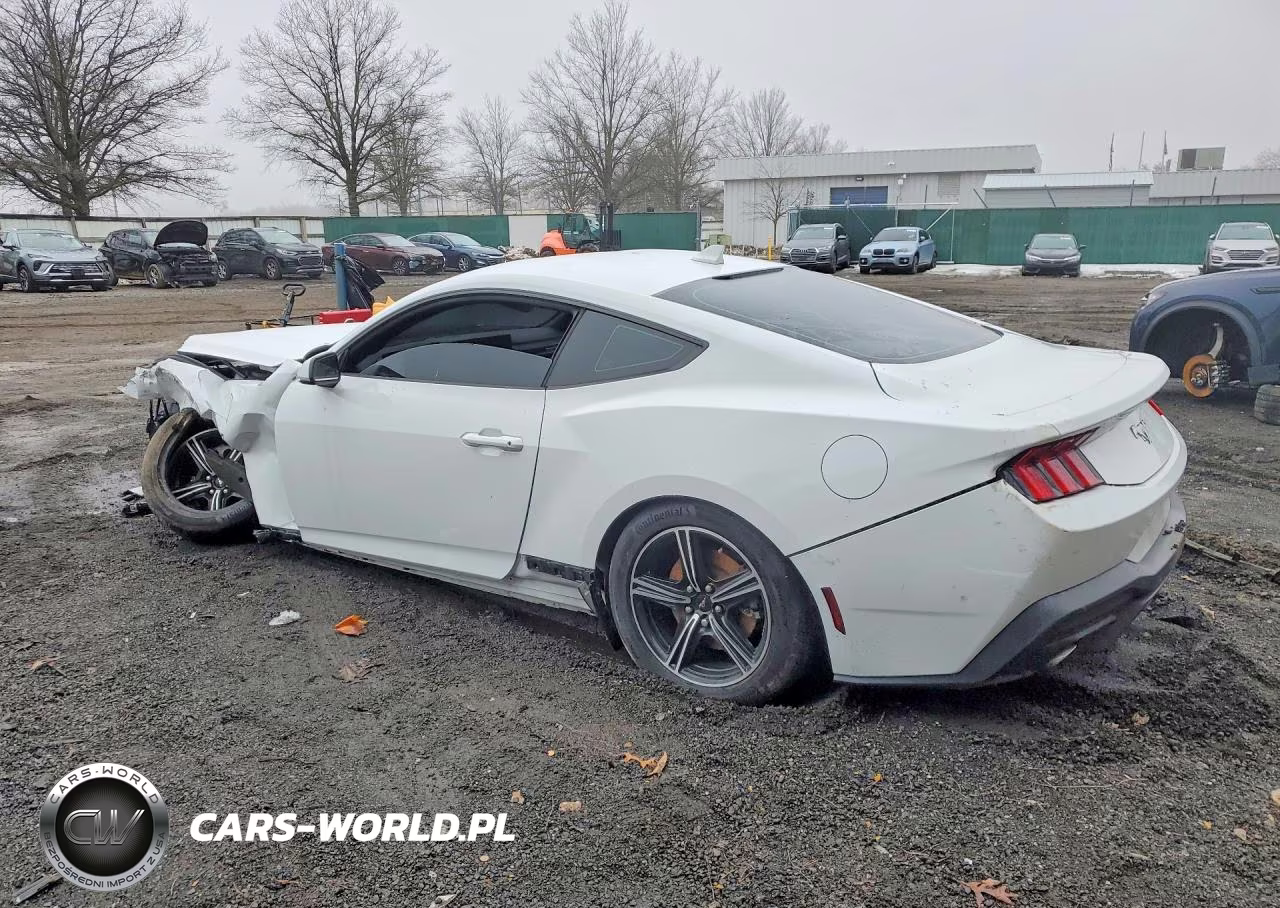 2024 Ford Mustang VIN:1FA6P8TH1R5130672 - 2