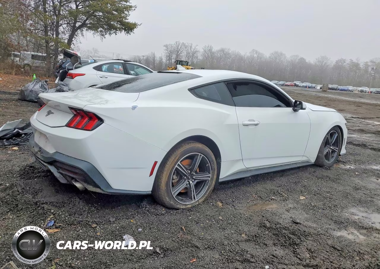 2024 Ford Mustang VIN:1FA6P8TH1R5130672 - 3