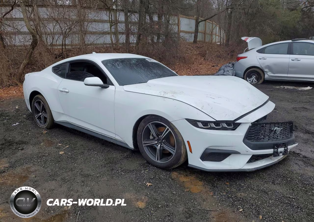 2024 Ford Mustang VIN:1FA6P8TH1R5130672 - 4
