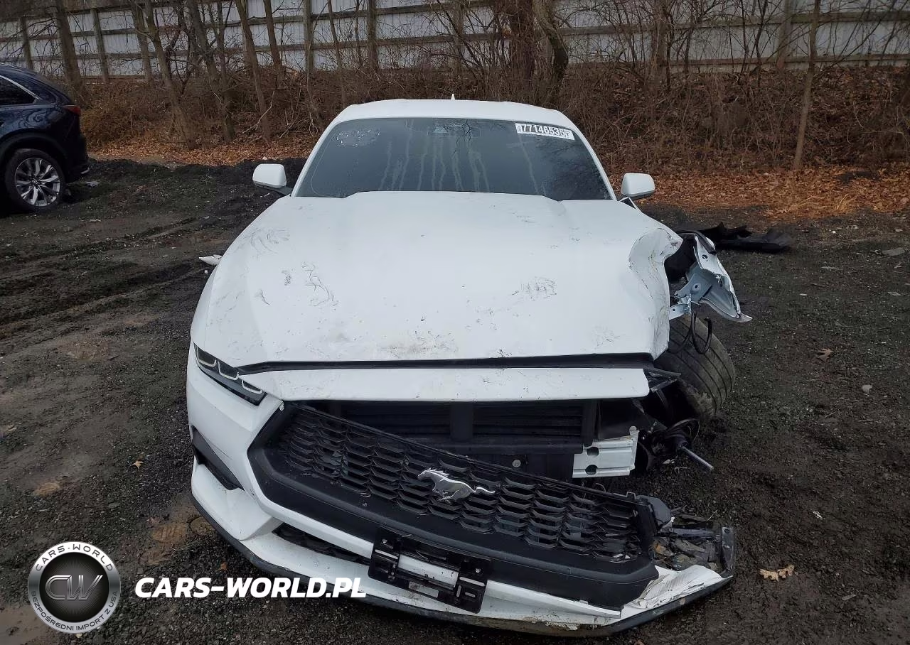 2024 Ford Mustang VIN:1FA6P8TH1R5130672 - 5