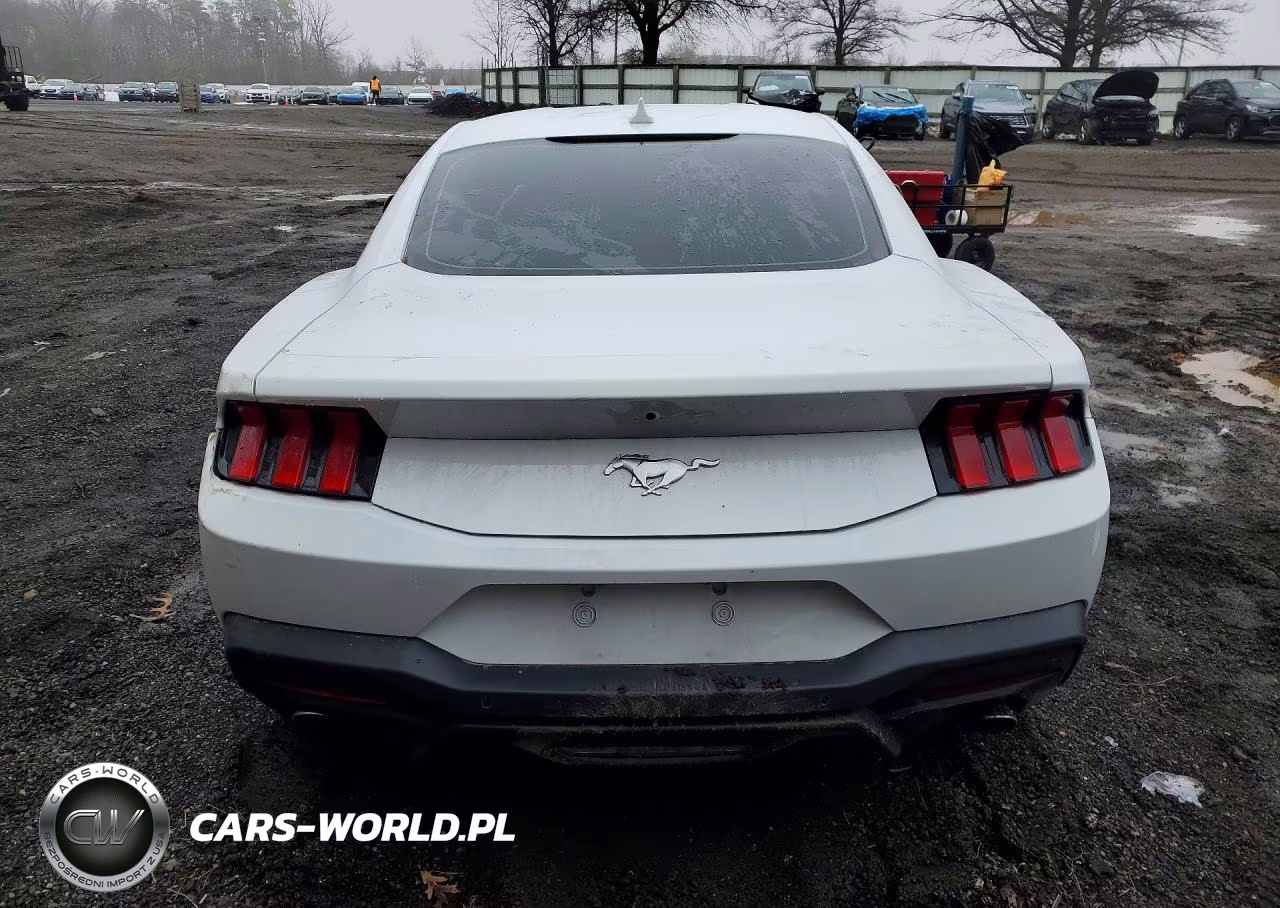 2024 Ford Mustang VIN:1FA6P8TH1R5130672 - 6