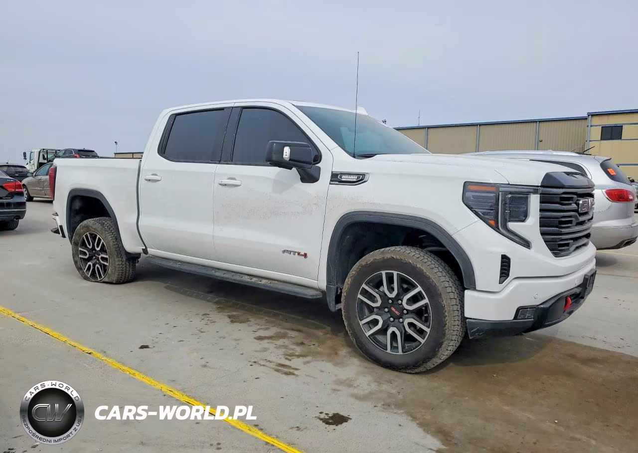 2025 GMC Sierra K1500 At4 VIN:3GTUUEE88SG305424 - 4