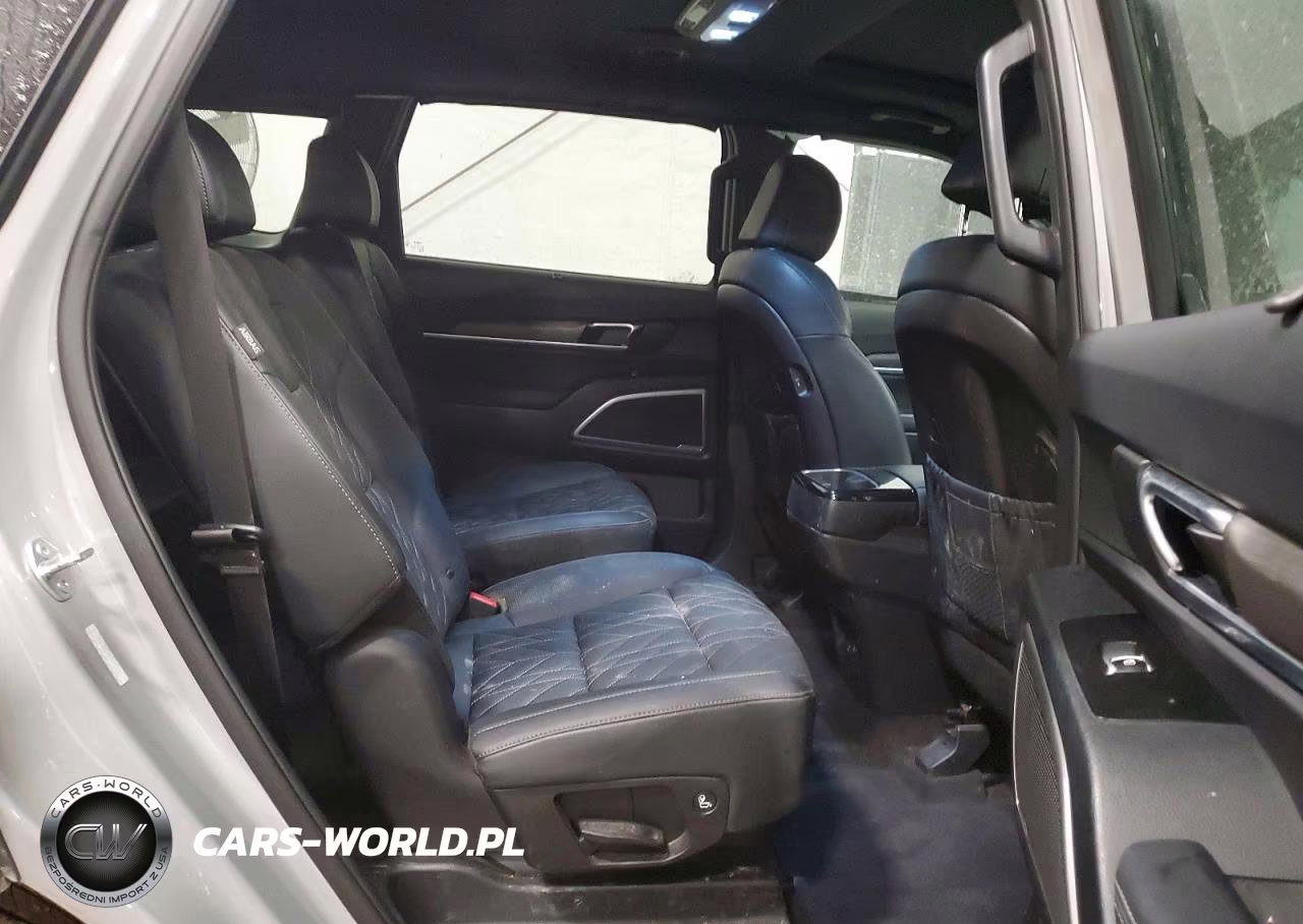 2024 Kia Telluride VIN:5XYP3DGCXRG535969 - 11