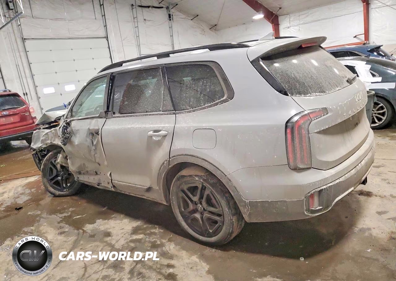 2024 Kia Telluride VIN:5XYP3DGCXRG535969 - 2