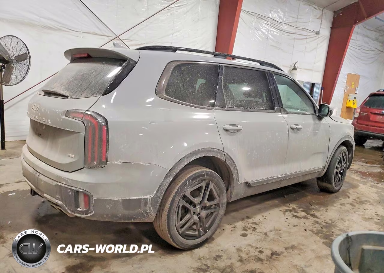 2024 Kia Telluride VIN:5XYP3DGCXRG535969 - 3